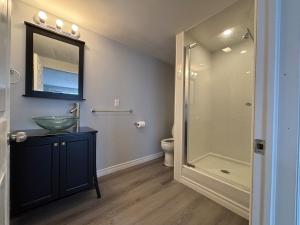a bathroom with a glass sink and a shower at Beautiful Waterfront Apartment Quispamsis, NB in Catons Island +6 photos