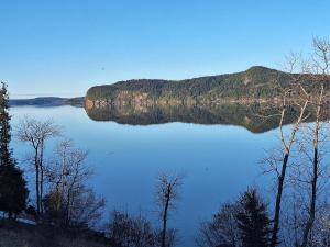 a view of a lake with trees and a mountain at Beautiful Waterfront Apartment Quispamsis, NB in Catons Island