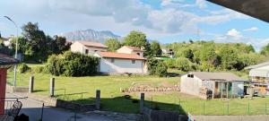 a herd of sheep in a field with buildings at home sweet home in Buia