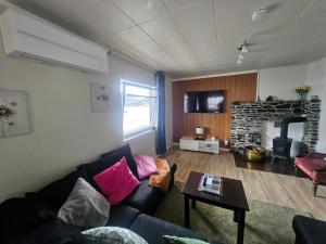 a living room with a couch and a fireplace at HOL Familie Hous in Hol