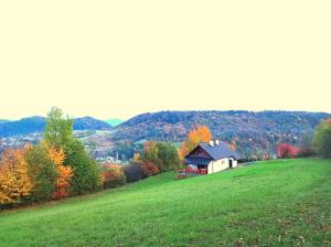 a house on a hill in a green field at Dom u Braci in Wołkowyja +24 photos