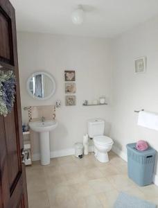 a white bathroom with a toilet and a sink at Blue Haven in Upper Ballycotteen