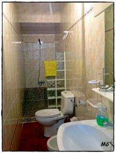 La salle de bains est pourvue de toilettes et d'un lavabo. dans l'établissement La Posá, à La Nava de Santiago