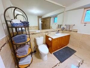 a bathroom with a toilet and a sink and a mirror at Coastal Drift Sooke in Sooke +11 photos
