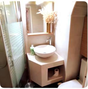a small bathroom with a sink and a shower at GaritsaEegant in Anemómylos