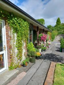 a building with plants on the side of it at The Hermitage Riverside House in Clogheen