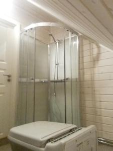 uma casa de banho com um chuveiro e um WC. em Ormåsen Loft em Ormåsen