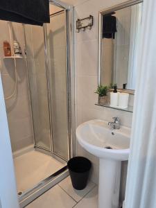 a bathroom with a shower and a sink at The Bungalow Killybegs in Killybegs