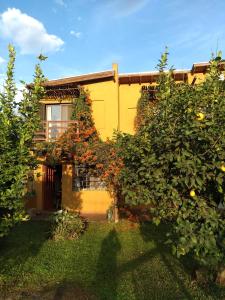 a yellow house with trees in front of it at Yataí Casas in Colón