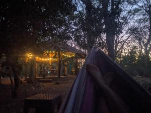 a person lying in a hammock in a forest at night at The Paradise Jungle Studio in Coco +7 photos