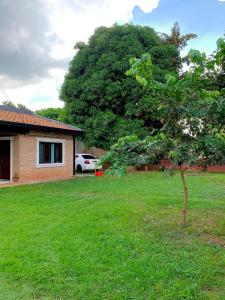 a tree in a yard next to a house at The Mango House in Caaguazú +16 photos