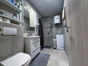 a small bathroom with a toilet and a sink at Apartman Mali Muk 2, self check in in Karlovac +23 photos