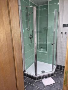 a shower with a glass door in a bathroom at Holiday Rhein 5 in Boppard