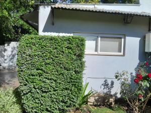 a house with a green hedge in front of it at Depto in Navarro