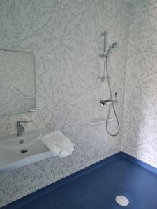 a bathroom with a sink and a shower at L'éveil à la nature in Limoges