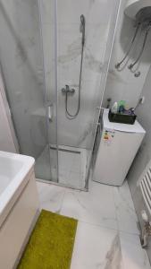 a bathroom with a shower and a green rug at Apartman Stan Laktasi in Laktaši