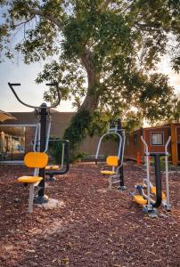 a group of exercise equipment in front of a tree at Casa Bonassola, Barra de Navidad in Barra de Navidad