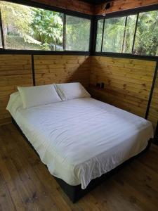 a bed in a room with wooden walls and windows at Glamping las palmas in Nimaima