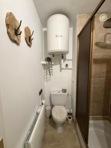 a bathroom with a toilet and a sink at Joli studio avec parking privé in Moulins +4 photos