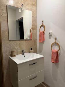 a bathroom with a white sink and a mirror at Joli studio avec parking privé in Moulins