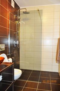 a bathroom with a toilet and a glass shower at Apartament Morska Ostoja in Krynica Morska