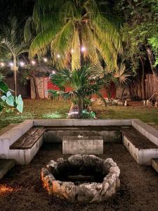 a fire pit in a garden with a palm tree at Aqua Viva in Tulum