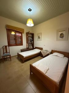 a bedroom with two beds and a chair in it at Fokiotrypa Seaside Retreat in Marathias