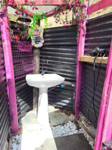 a white sink in front of a pink wall with flowers at Wild mountains in La Brigue +1 photo
