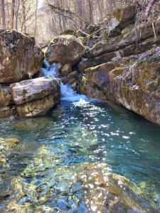 a creek with rocks and water in a forest at Wild mountains in La Brigue