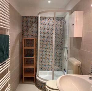 a bathroom with a shower and a toilet and a sink at Urlaub in den Bergen in Puchberg am Schneeberg