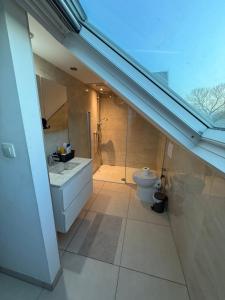 a bathroom with a shower and a sink and a toilet at The Beautiful White House in Kortenberg