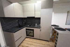 a small kitchen with white cabinets and a sink at Fly & Stay Otopeni Airport - Self Check-in in Otopeni