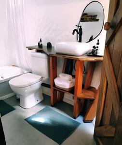 a bathroom with a toilet and a sink and a mirror at Diamond Cabin in the Forest | Hot Tub | AC | Fire Pit in Gonçalves