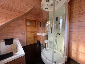 a bathroom with a shower and a toilet and a sink at Forest Villa, Rural Twente in Den Ham +13 photos