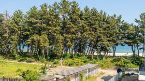 a park with trees and the beach in the background at Samcheok Lamer Pension in Samcheok