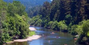 a river with people rafting in a forest at River View Lodge - Hot Tub And Tastings Included in Healdsburg +25 photos