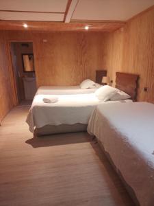 two beds in a room with wooden walls at Hostal Lejana Patagonia in Cochrane