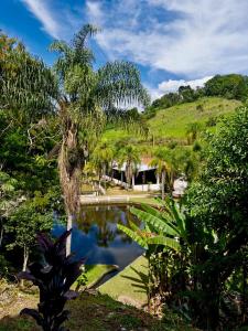 a pond in a garden with a palm tree at Pousada Santorini Guararema in Guararema