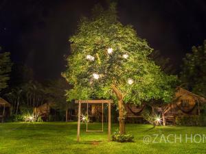 a tree with a swing in a yard at night at Pai Country Hut in Pai