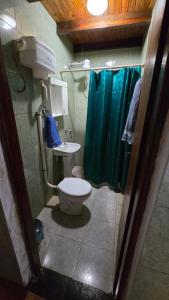 a bathroom with a toilet and a green shower curtain at Departamentos Hernan in Apóstoles +4 photos