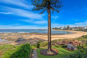 a tree and a picnic table on a beach at Ocean Pines Apartment 5 in The Entrance