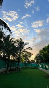 a large yard with palm trees and a fence at Oasis Town in Carenero