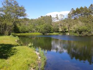 a lake in a park with grass and trees at Thornthwaite Farm in Broughton in Furness