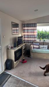a living room with a couch and a tv and a cat at Beach getaway in King's Lynn