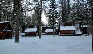 Camping Pod Krokwią v zimě