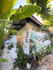 a house with a bunch of plants in front of it at KAMURAYAW SIARGAO in General Luna