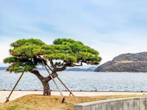 a tree on the side of a body of water at Comfort Hotel Takamatsu in Takamatsu