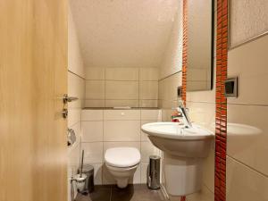 a small bathroom with a toilet and a sink at Rauschelbach Loft 9 in Poppenhausen +29 photos