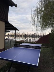 a blue ping pong table in front of a house at Viktória Apartman DunaWeekend in Makád
