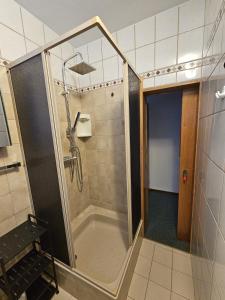 a shower with a glass door in a bathroom at Mirnockblick Apartments 2 in Radenthein